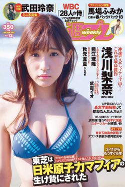 铁血丹心电视剧2024免费观看