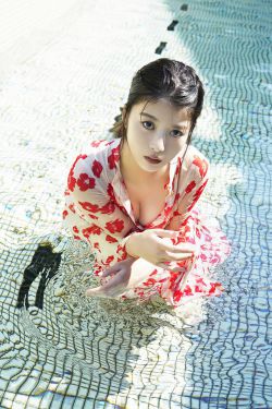 一路向北高清完整版免费观看