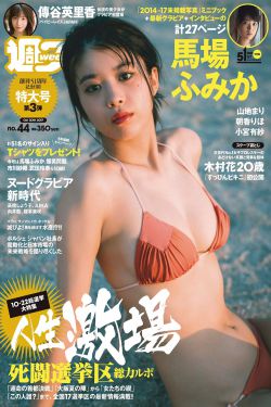 公孚的手5