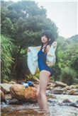 迪桑特
